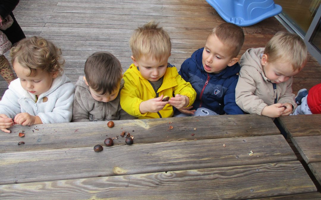 Kostanjev piknik