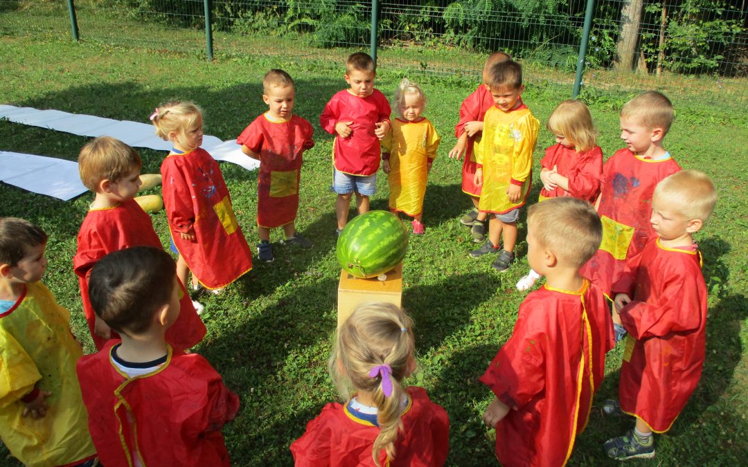 Lubenice in buče